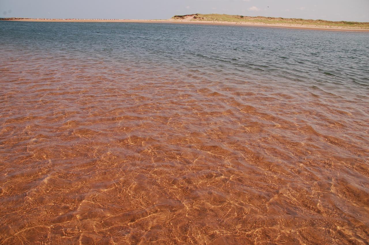 Goodview Cottages By Stanhope Beach Pei For Adults Only 外观 照片
