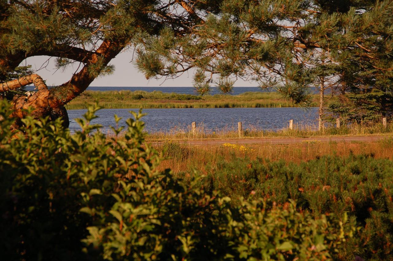Goodview Cottages By Stanhope Beach Pei For Adults Only 外观 照片